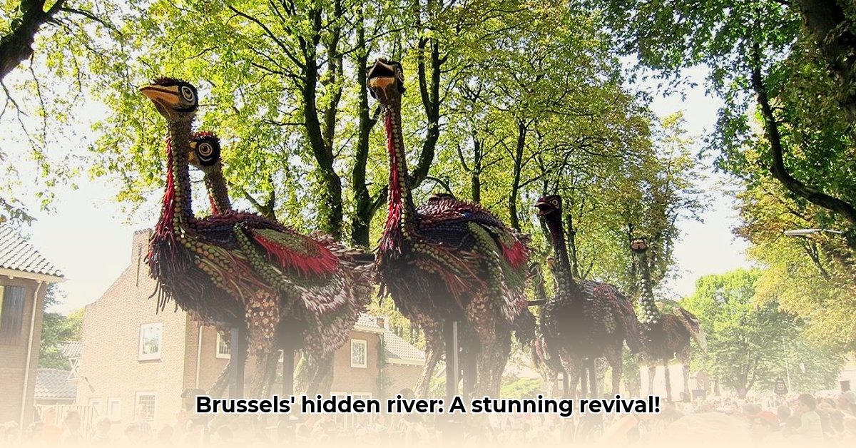 welke-rivier-stroomt-door-brussel
